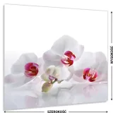 hartowany-panel-kuchenny-60x50cm-gratis-stan-nowy
