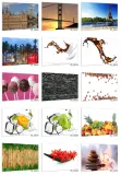 hartowany-panel-kuchenny-60x50cm-gratis-kod-producenta-szklo-hartowane