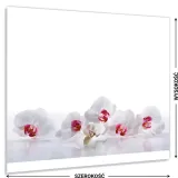 hartowany-panel-kuchenny-60x50cm-gratis-stan-nowy