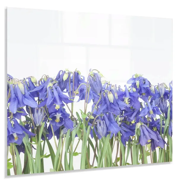 hartowany-panel-kuchenny-60x50cm-gratis