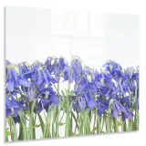 hartowany-panel-kuchenny-60x50cm-gratis