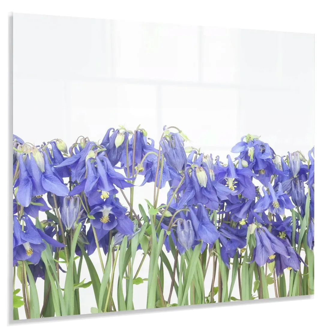 hartowany-panel-kuchenny-60x50cm-gratis
