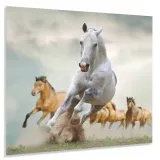 hartowany-panel-kuchenny-60x50cm-gratis