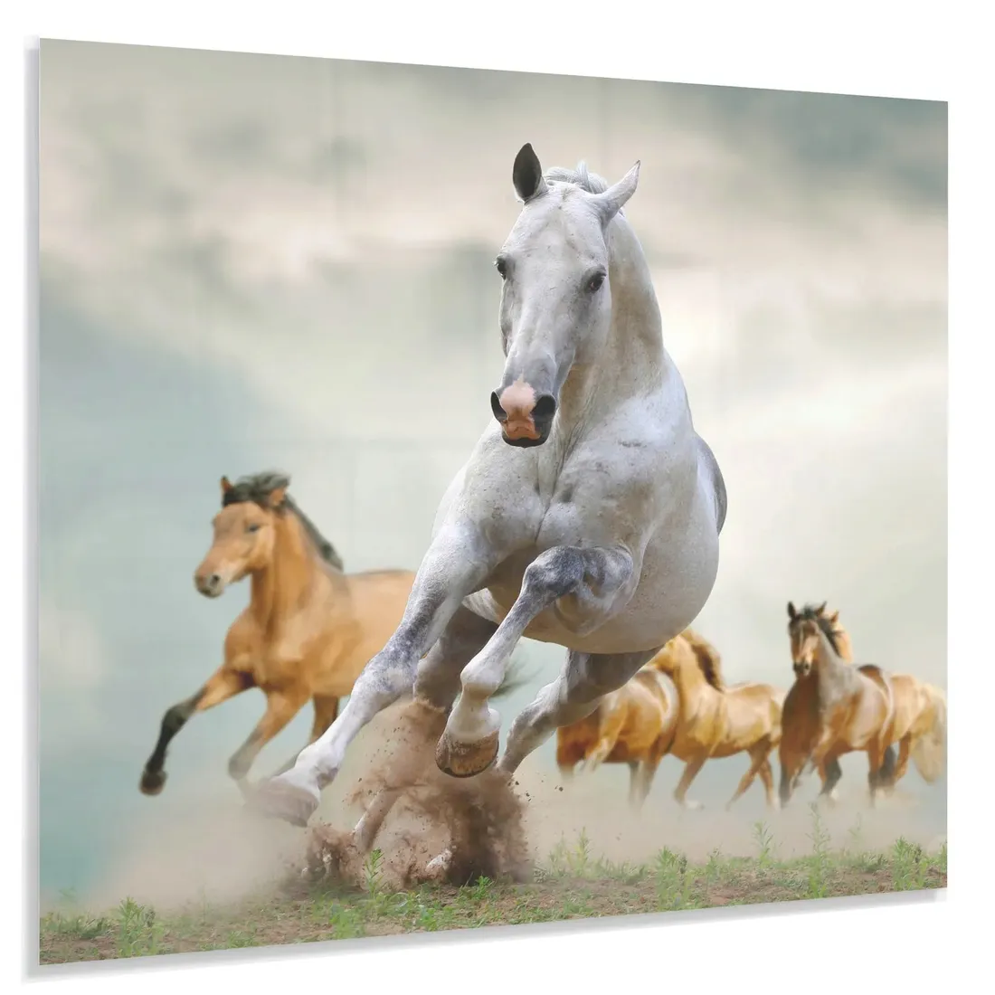 hartowany-panel-kuchenny-60x50cm-gratis