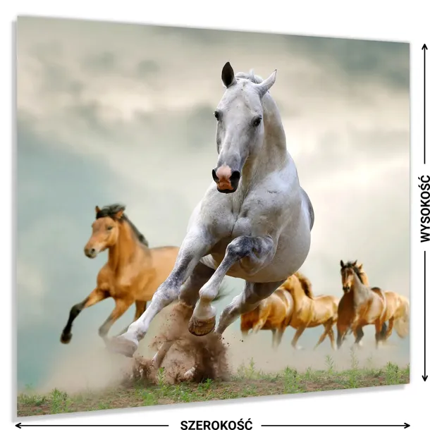 hartowany-panel-kuchenny-60x50cm-gratis-stan-nowy