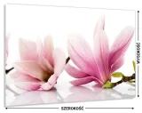 panel-do-kuchni-szklo-80x60-gratis-stan-nowy