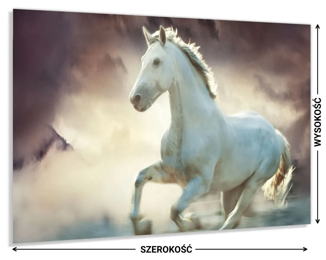 panel-do-kuchni-szklo-80x60-gratis