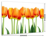 panel-do-kuchni-szklo-100x60-gratis-stan-nowy