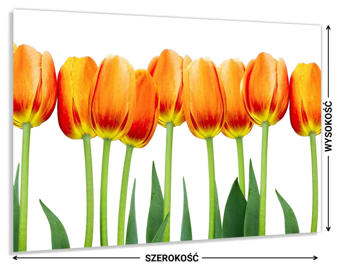 panel-do-kuchni-szklo-100x60-gratis