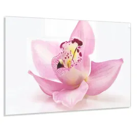 panel-kuchenny-z-grafika-100x50-gratis