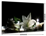 panel-do-kuchni-szklo-80x60-gratis-stan-nowy