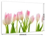 panel-do-kuchni-szklo-80x60-gratis-stan-nowy