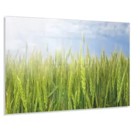 hartowany-panel-kuchenny-100x50-gratis