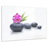 hartowany-panel-kuchenny-80x60-gratis