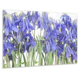 panel-kuchenny-z-grafika-100x50-gratis