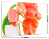 hartowany-panel-do-kuchni-80x60-gratis-stan-nowy