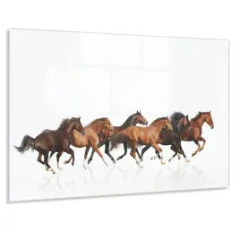 kuchenny-panel-z-grafika-100x50-gratis