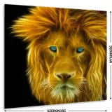 hartowany-panel-kuchenny-60x50cm-klej-gratis-stan-nowy