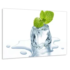 panel-do-kuchni-szklo-100x50-klej-gratis