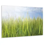 hartowany-panel-do-kuchni-80x60-gratis