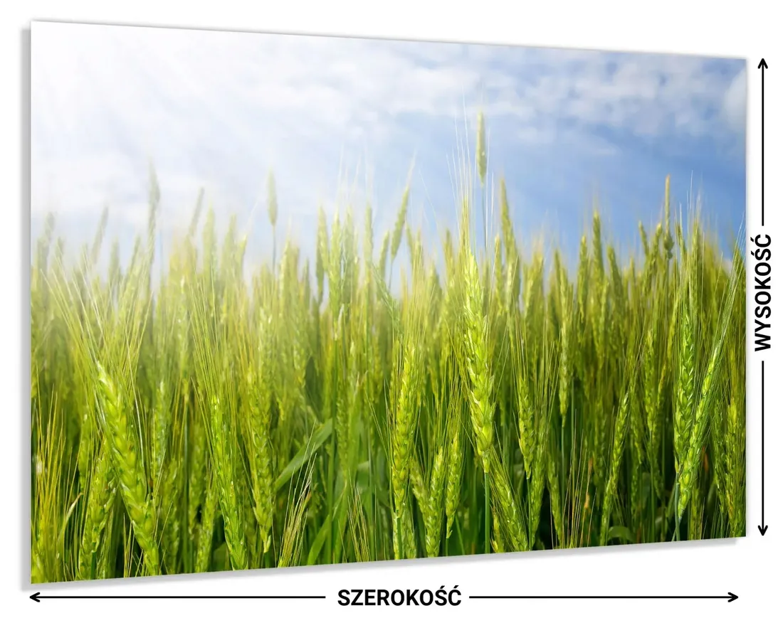 hartowany-panel-do-kuchni-80x60-gratis