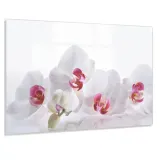 panel-do-kuchni-szklo-80x60-gratis
