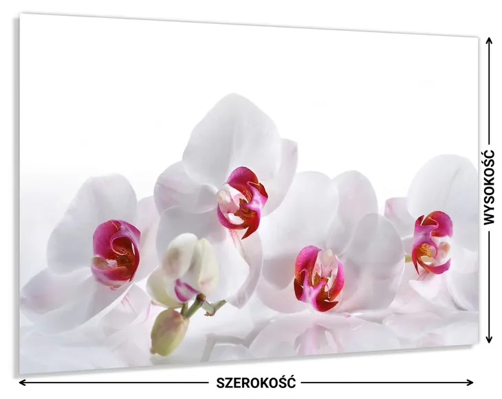 panel-do-kuchni-szklo-80x60-gratis-stan-nowy