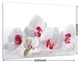 panel-do-kuchni-szklo-80x60-gratis-stan-nowy