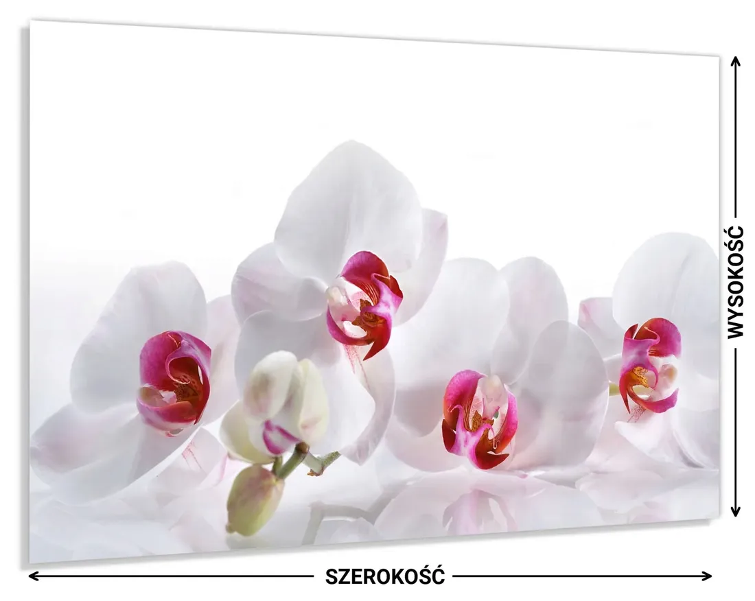panel-do-kuchni-szklo-80x60-gratis