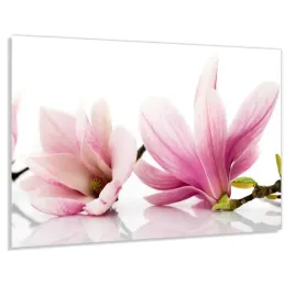 szklo-hart-100x50-rozowa-magnolia-klej