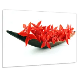 szklo-hart-100x50-czerwone-kwiaty-w-polmisku-klej