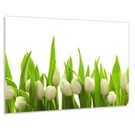 szklo-hart-100x50-biale-tulipany-klej