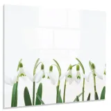 hartowany-panel-kuchenny-60x50cm-klej-gratis