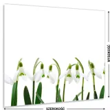 hartowany-panel-kuchenny-60x50cm-klej-gratis-stan-nowy
