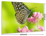 kuchenny-panel-z-grafika-100x60-gratis-stan-nowy