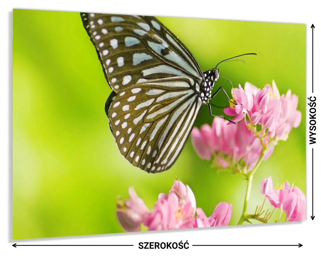 kuchenny-panel-z-grafika-100x60-gratis