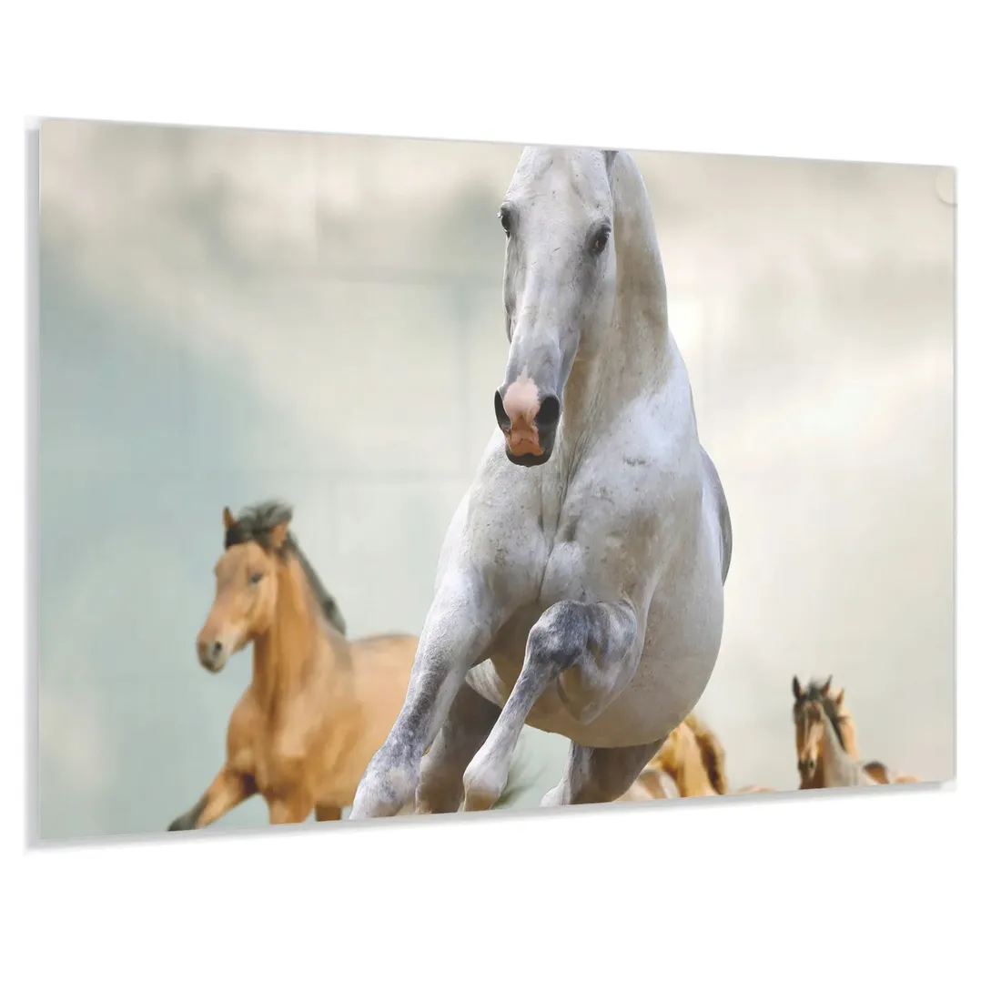hartowany-panel-do-kuchni-80x60-gratis