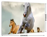 hartowany-panel-do-kuchni-80x60-gratis-stan-nowy