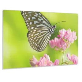 panel-kuchenny-z-grafika-100x50-gratis