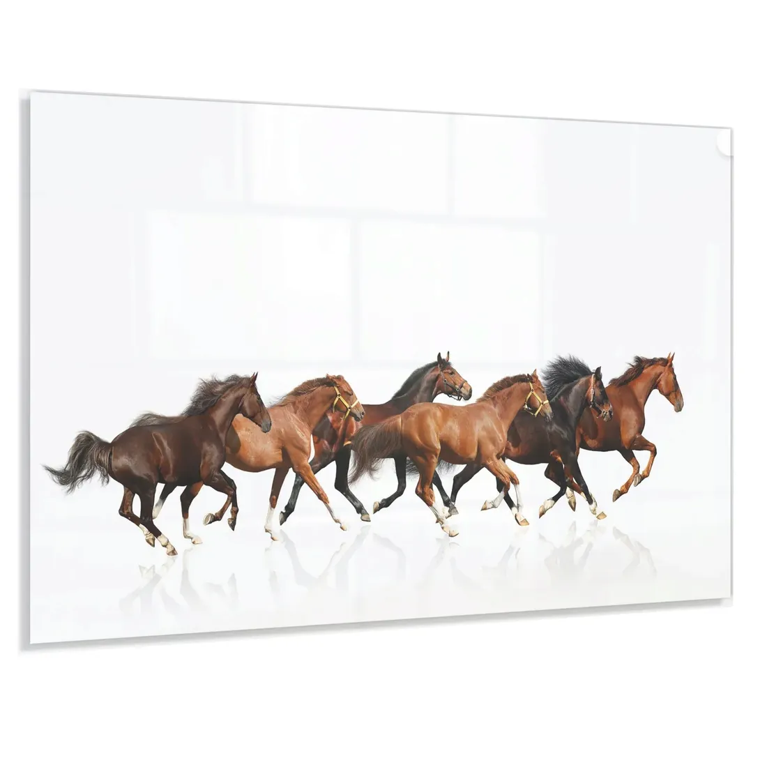 panel-do-kuchni-szklo-100x60-gratis