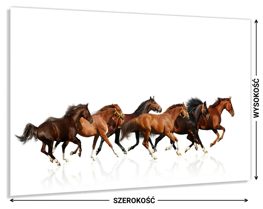 panel-do-kuchni-szklo-100x60-gratis