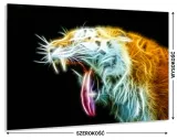 hartowany-panel-do-kuchni-80x60cm-gratis-stan-nowy