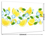 hartowany-panel-do-kuchni-100x60-gratis-stan-nowy