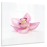 hartowany-panel-kuchenny-60x50cm-gratis