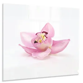 hartowany-panel-kuchenny-60x50cm-gratis