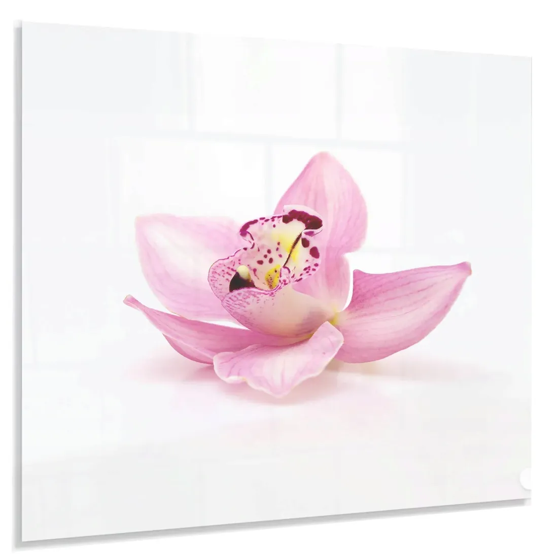hartowany-panel-kuchenny-60x50cm-gratis