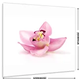 hartowany-panel-kuchenny-60x50cm-gratis-stan-nowy