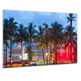 szklo-hart-100x50-plaza-z-palmami-w-miami-klej