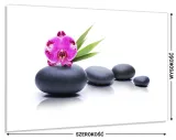 hartowany-panel-do-kuchni-100x60-gratis-stan-nowy