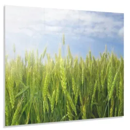 hartowany-panel-kuchenny-60x50cm-gratis
